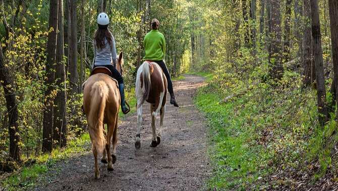 Go Horseback Riding