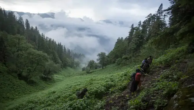 Head To Kasol For A Perfect Trek