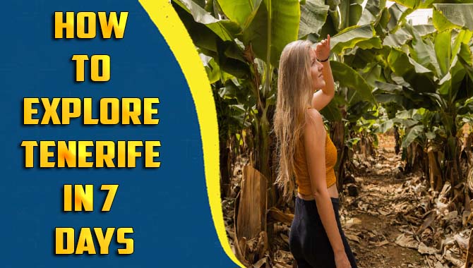 How To Explore Tenerife In 7 Days