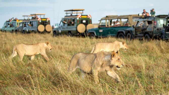 Maasai Mara National Reserve, Kenya