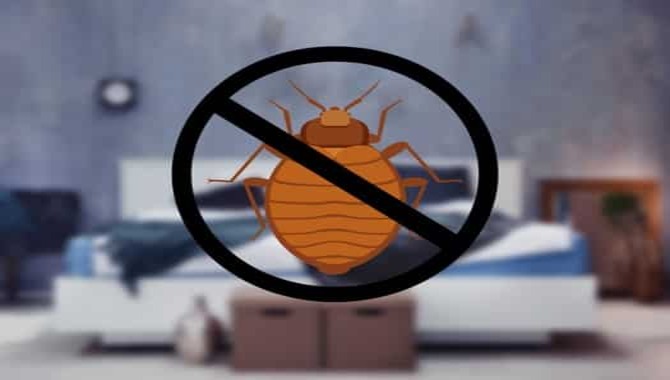 Offer Security Against Bringing Bedbugs Home