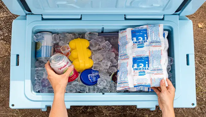 Tore Perishables In An Insulated Cooler Or Freezer Bag