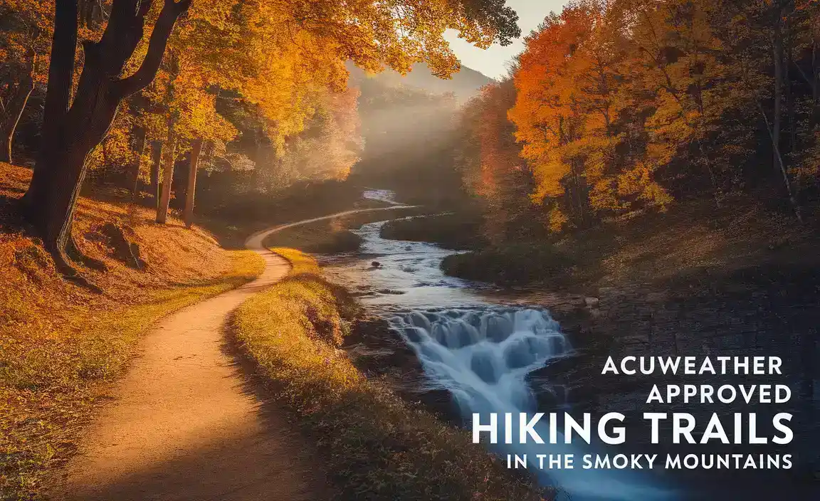Accuweather Approved Hiking Trails In The Smoky Mountains