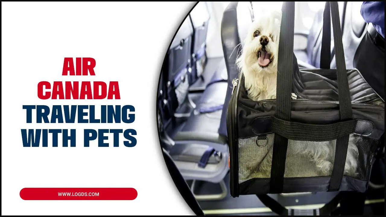 Air Canada Traveling With Pets