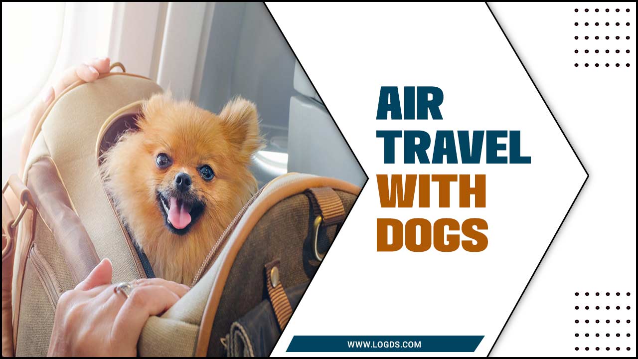 Air Travel With Dogs