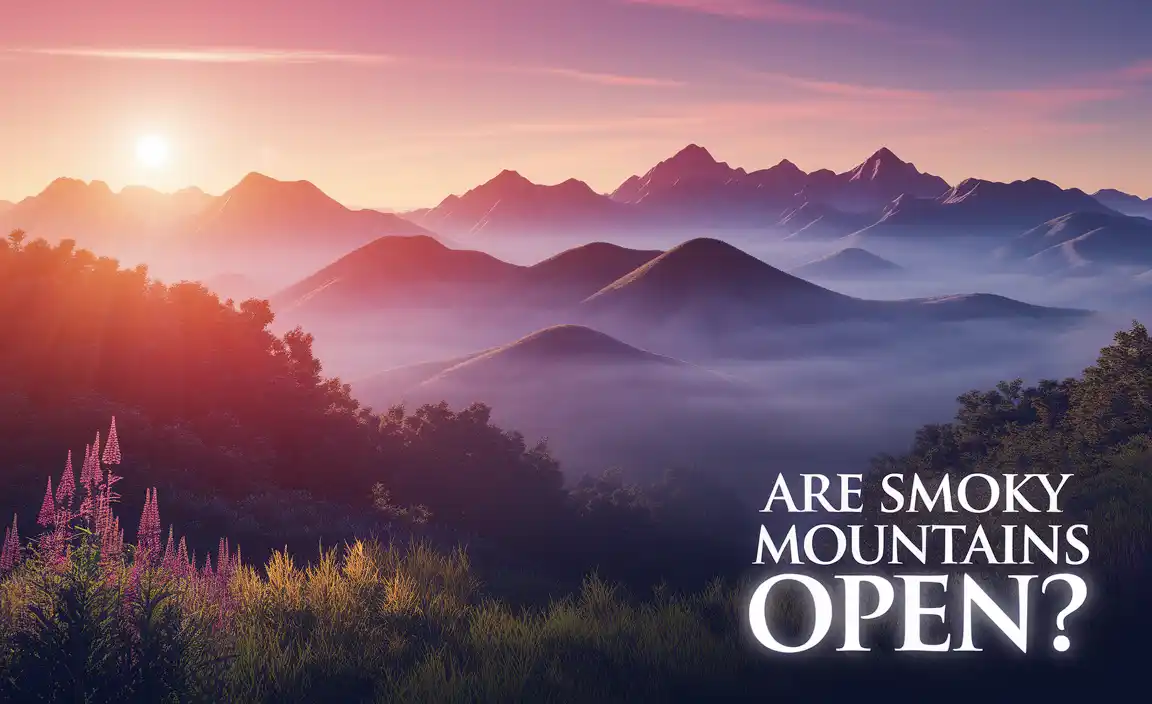Are Smoky Mountains Open