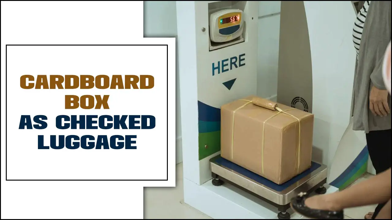 Cardboard Box As Checked Luggage