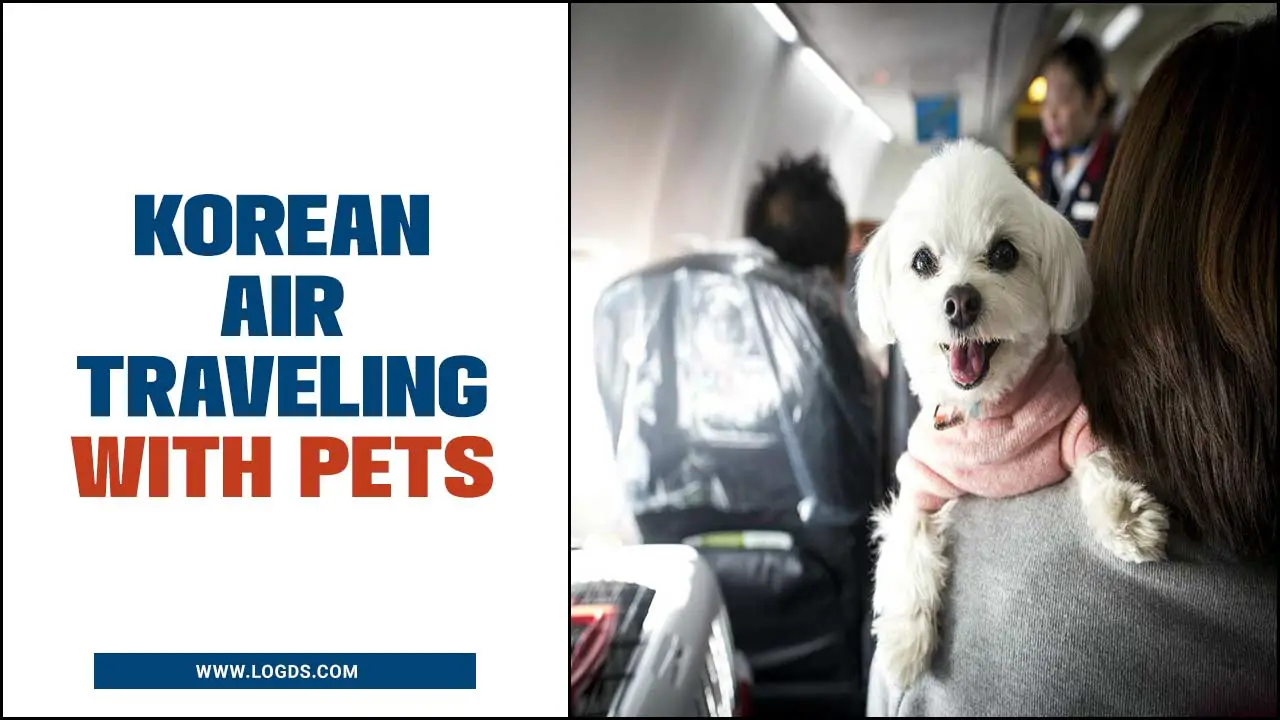 Korean Air Traveling With Pets