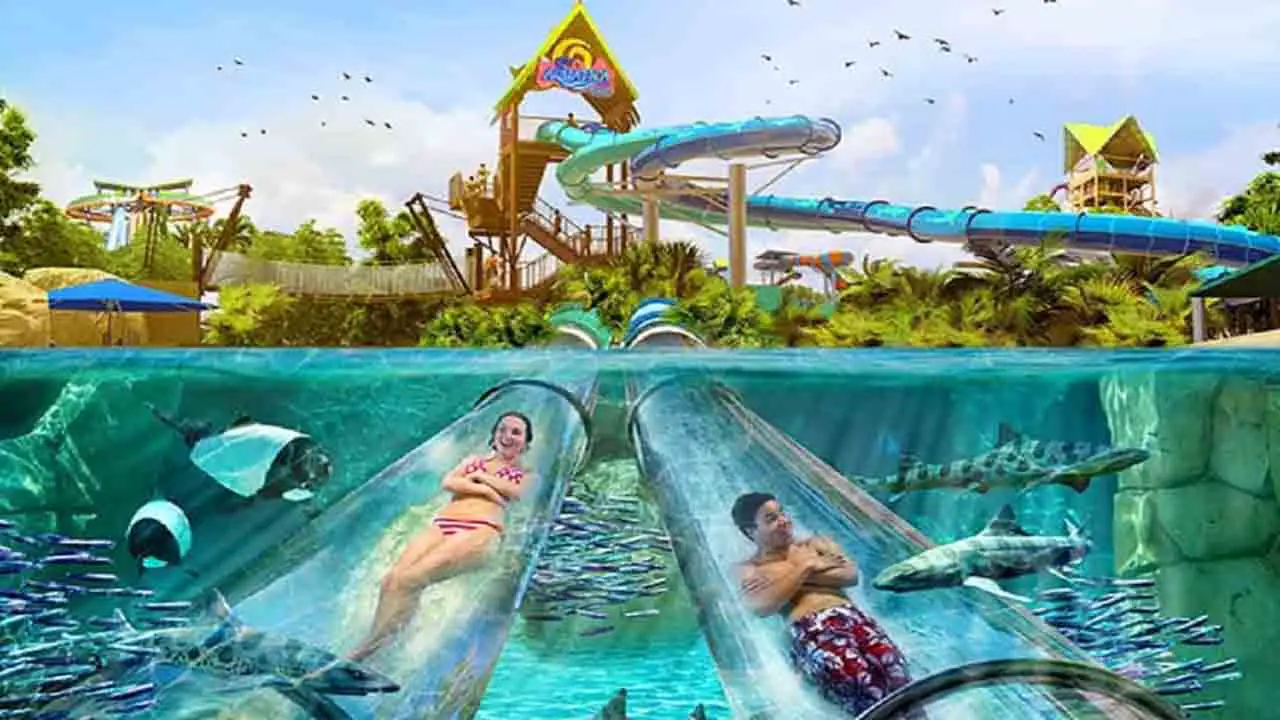 What Is The Difference Between Adventure Island And Aquatica
