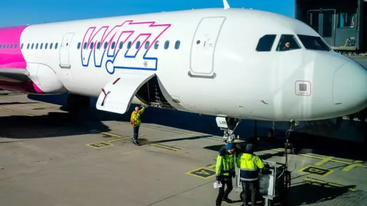 Wizz Air Traveling With Pets – What You Should Know