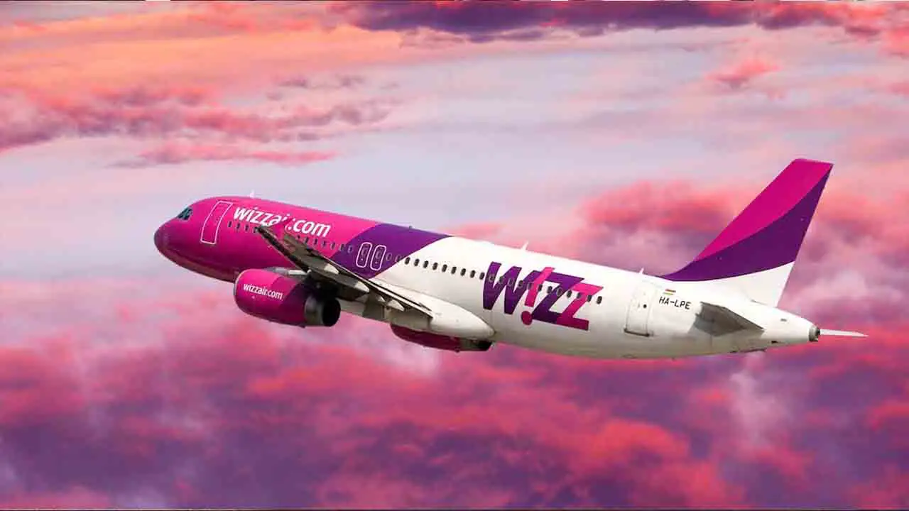 Wizz Air's Pet Policy And Requirements