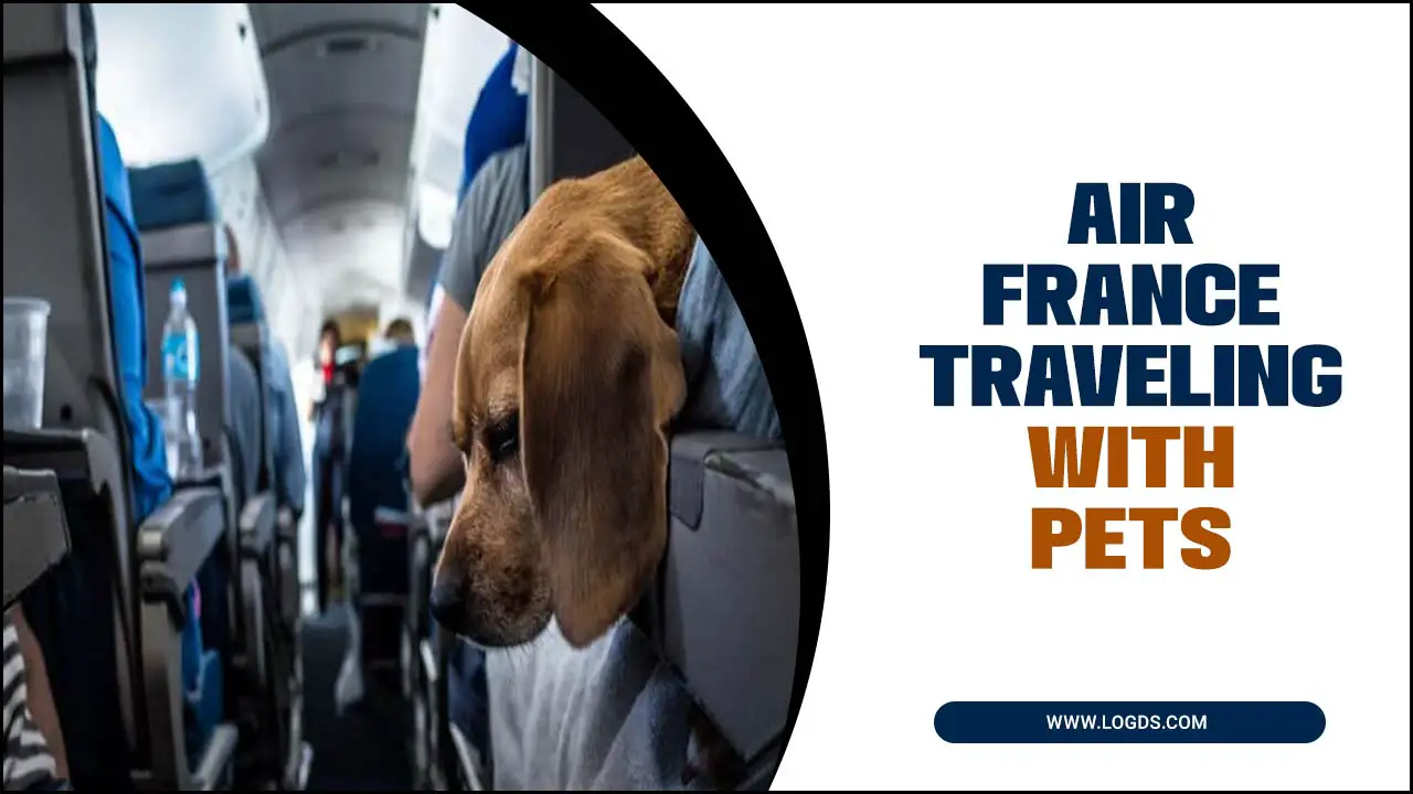 Air France Traveling With Pets