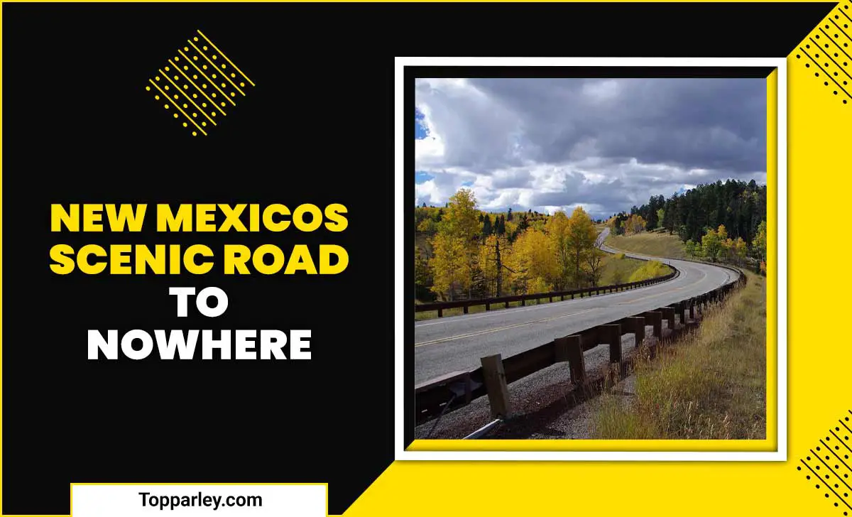 New Mexicos Scenic Road To Nowhere