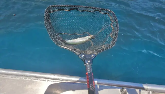Sturdy Fishing Net