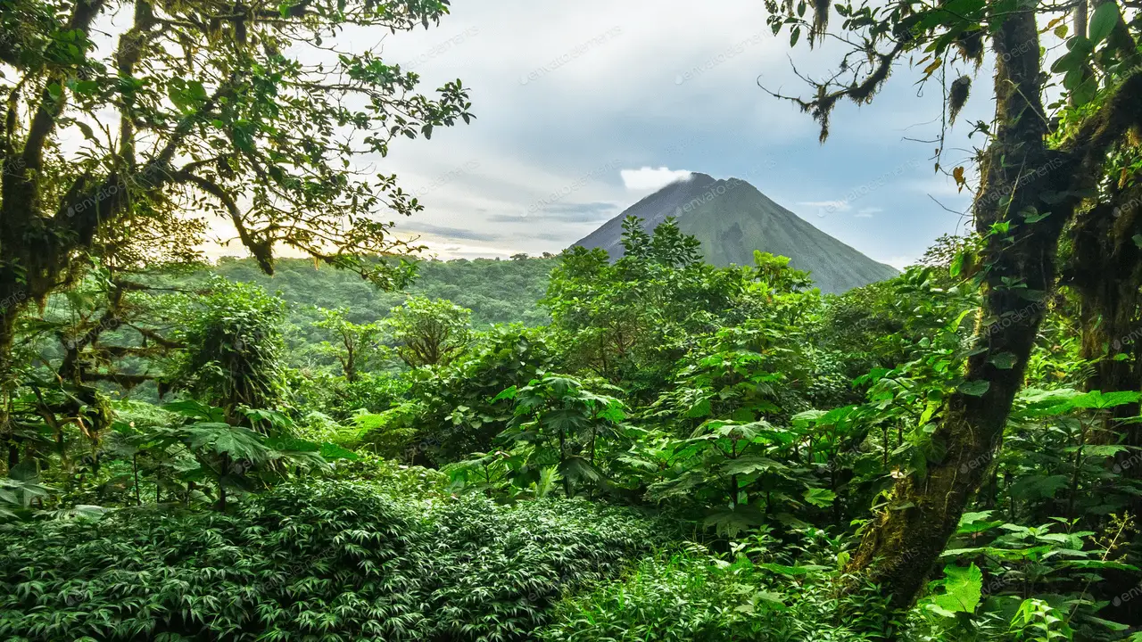 Tips For Making The Most Out Of Your Trip To Costa Rica