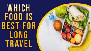Which Food Is Best For Long Travel