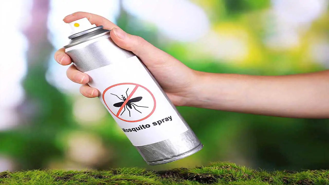 An Insect Repellent