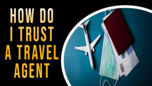 How Do I Trust A Travel Agent
