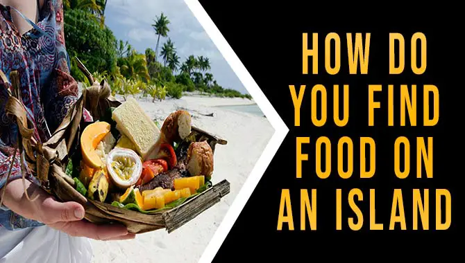 How do you find food on an island
