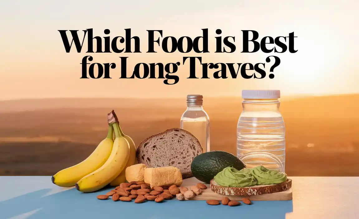 Which Food Is Best For Long Travel