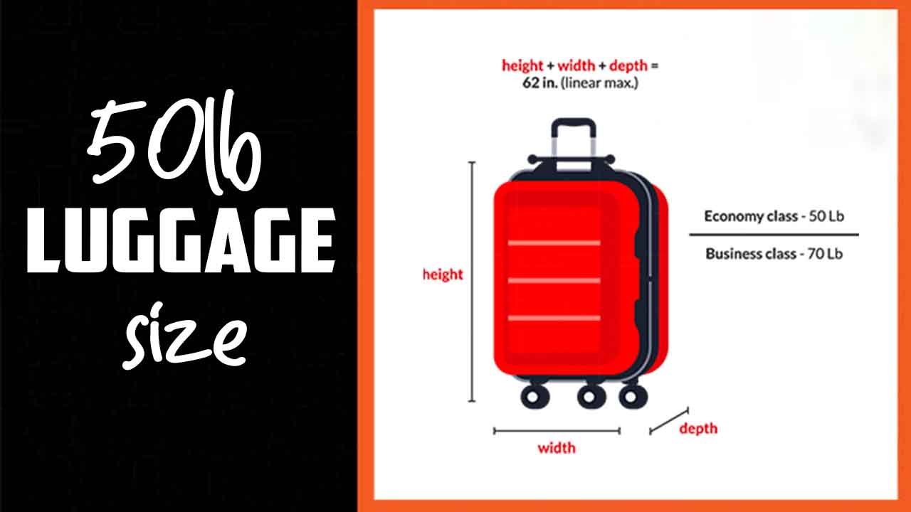 50lb Luggage Size