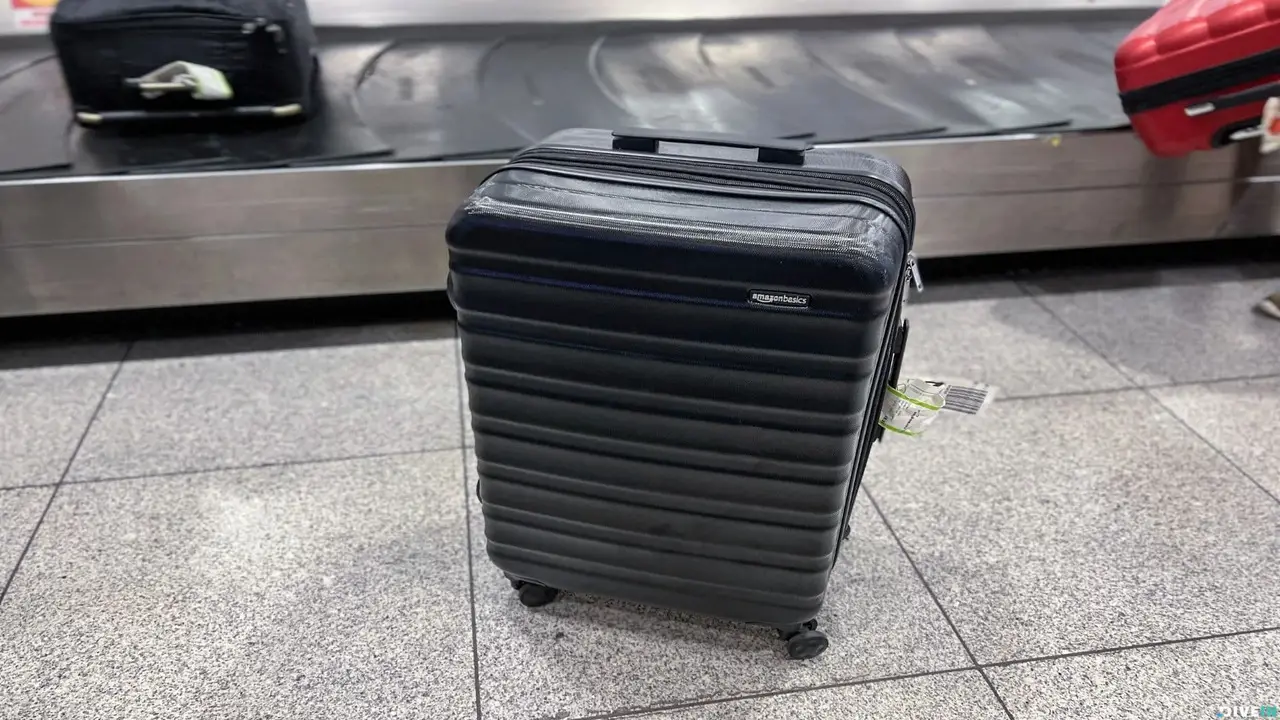 Amazonbasics Hardside Spinner Luggage