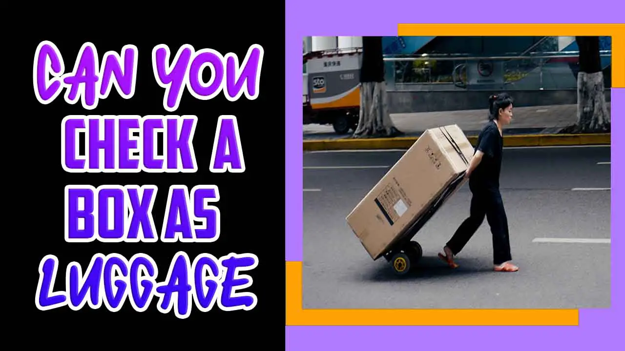 Can You Check A Box As Luggage