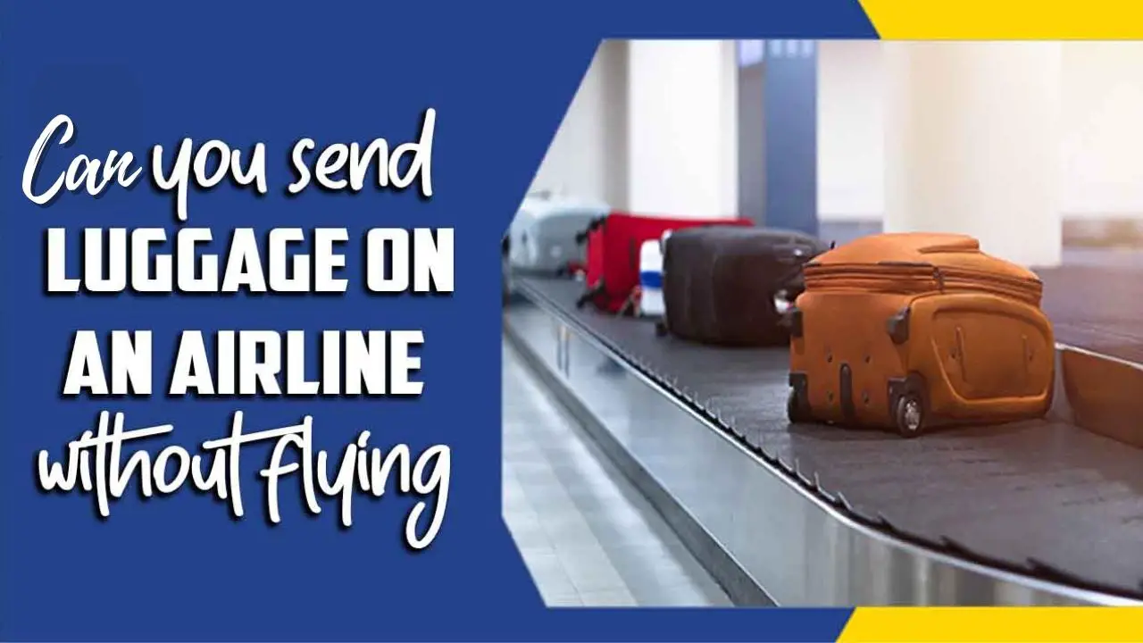 Can You Send Luggage On An Airline Without Flying
