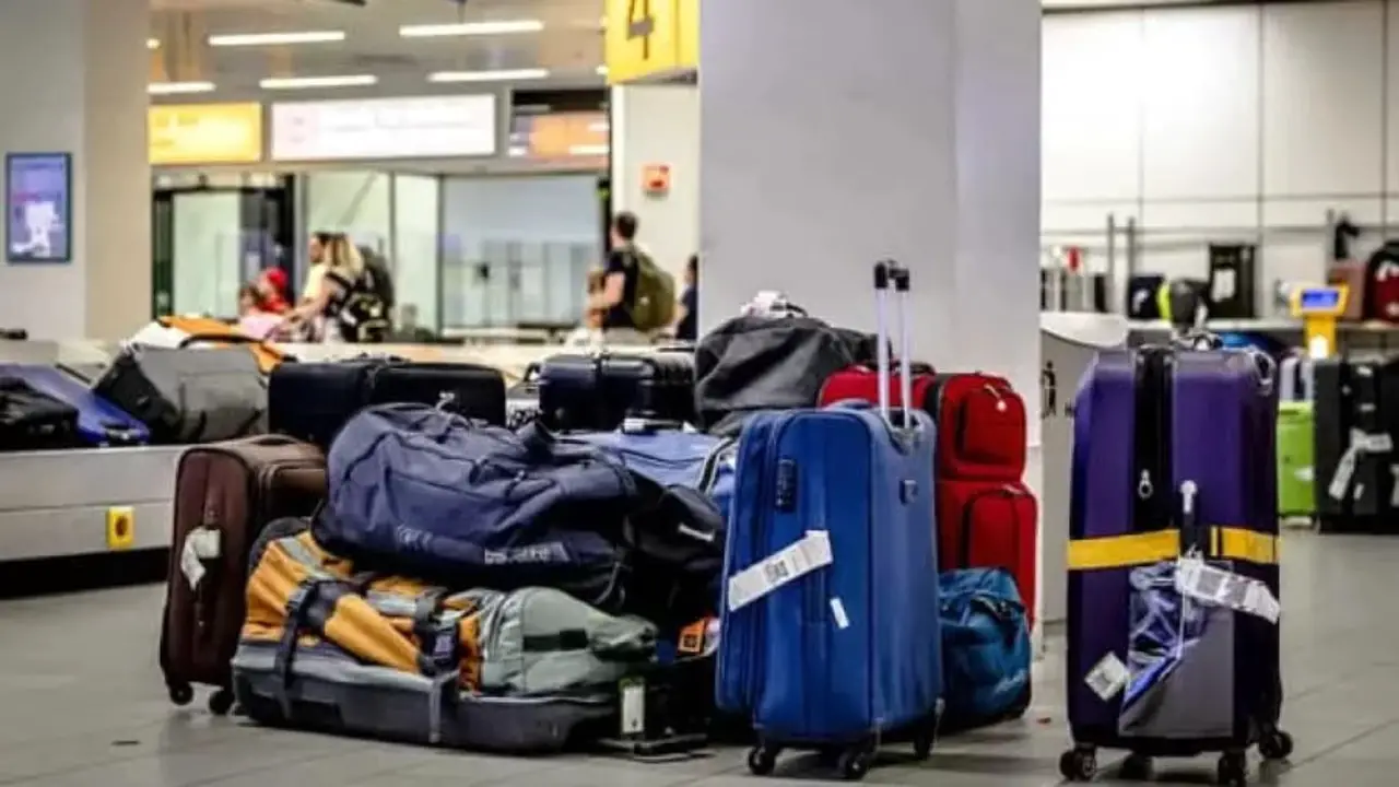 Determine The Most Common Dimensions Of A 50lb Luggage.