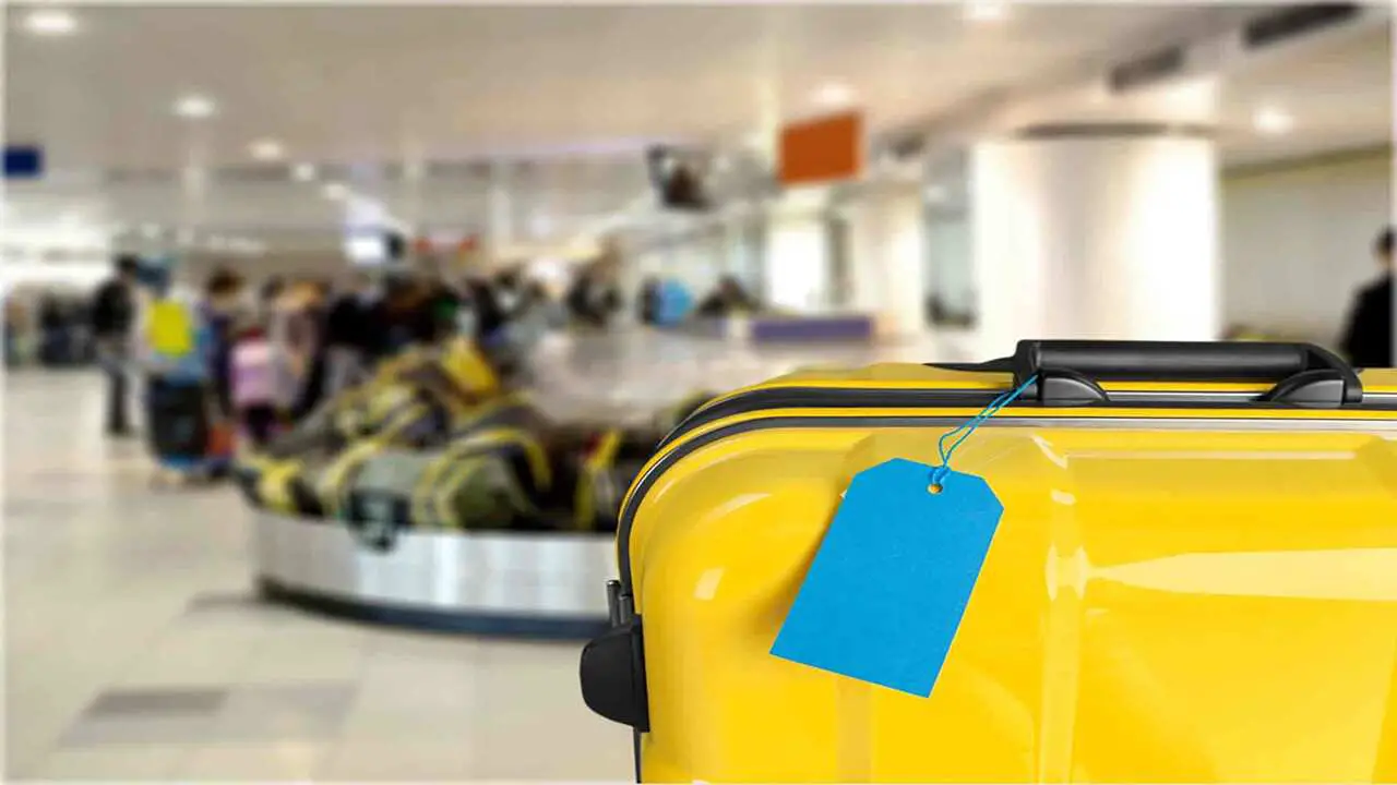 Ensuring Security And Privacy With Delta Luggage Tags