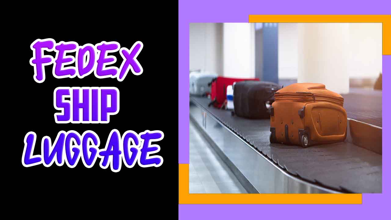 Fedex Ship Luggage