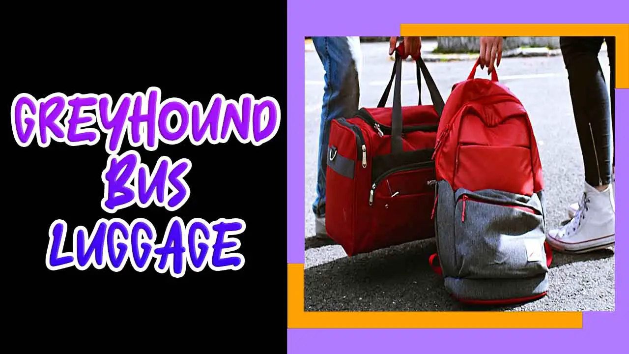 Greyhound Bus Luggage