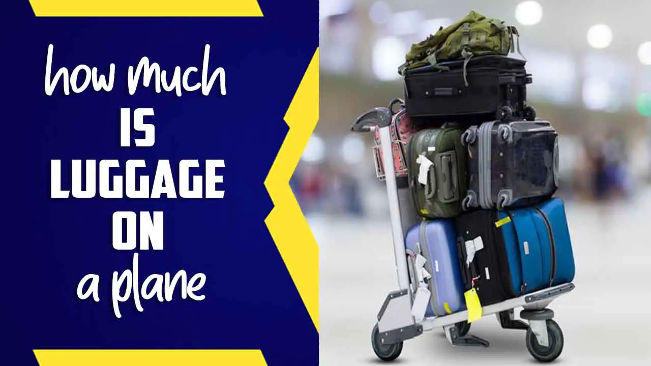 How Much Is Luggage On A Plane