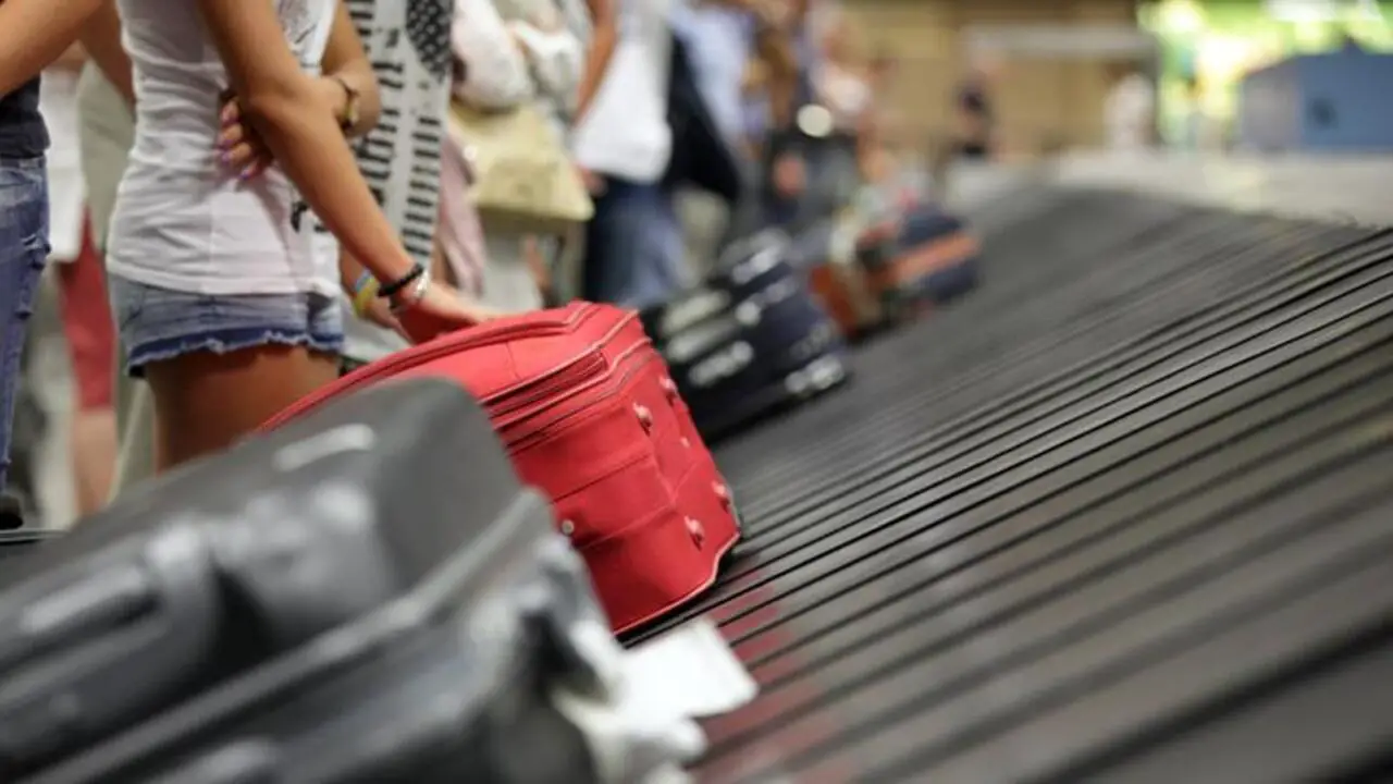 How Often Do Luggages Get Lost What To Do