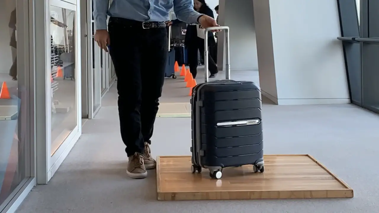 Members Mark Vs. Traveller's Choice Luggage