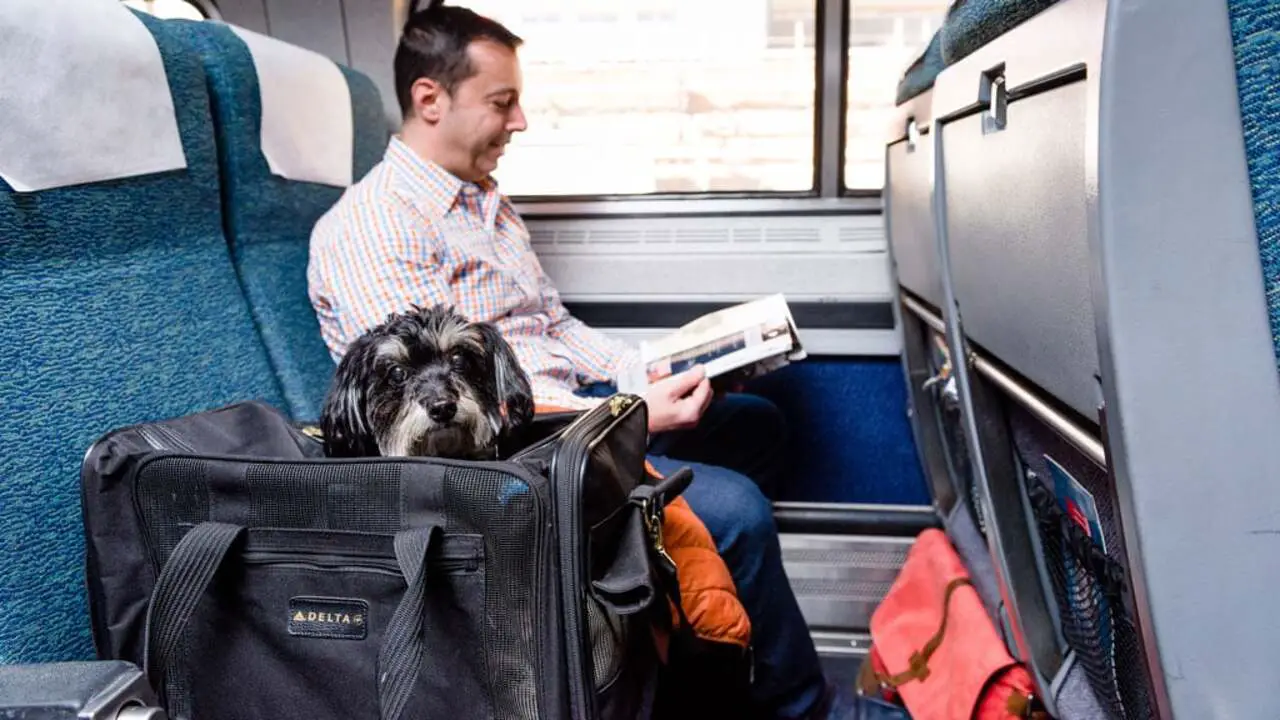 Pet Policy For Amtrak Travelers