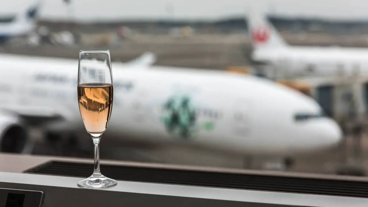 Regulations Surrounding Alcohol And Air Travel