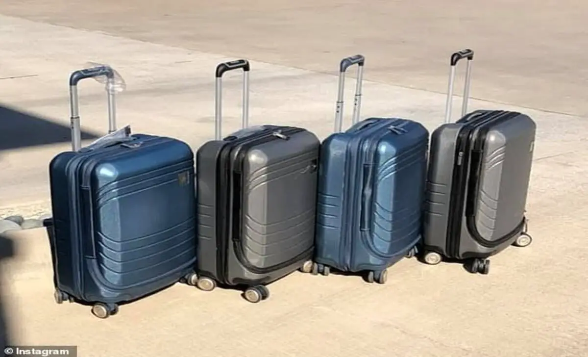 Types Of Costco Kirkland Luggage