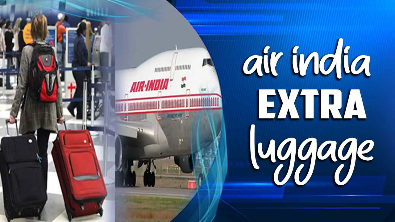 Air India Extra Luggage