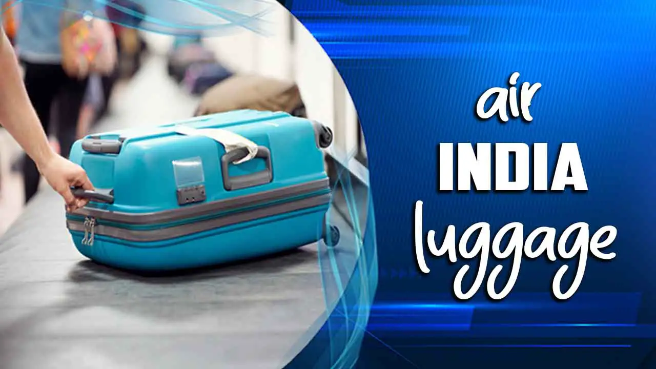air india luggage