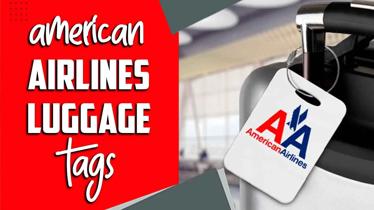 American Airlines Luggage Tags