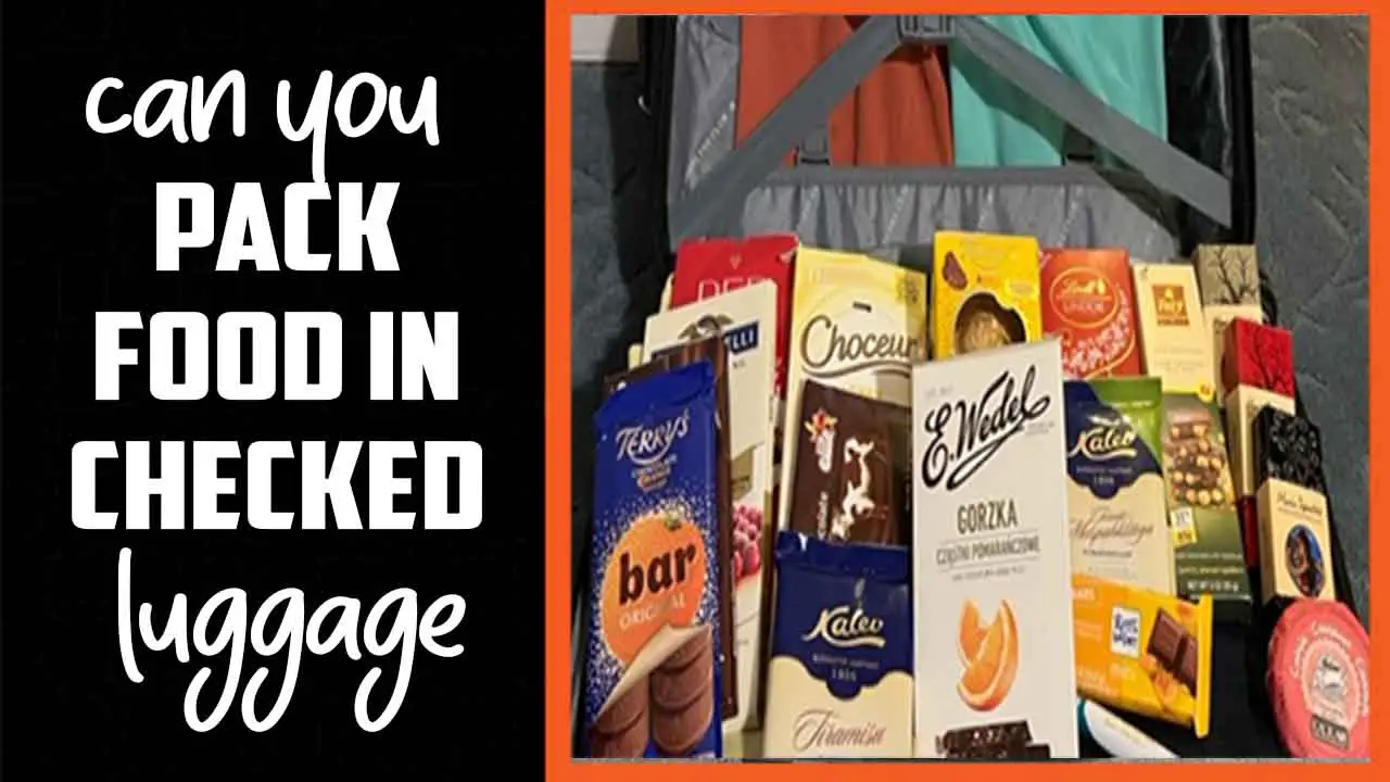 Can You Pack Food In Checked Luggage