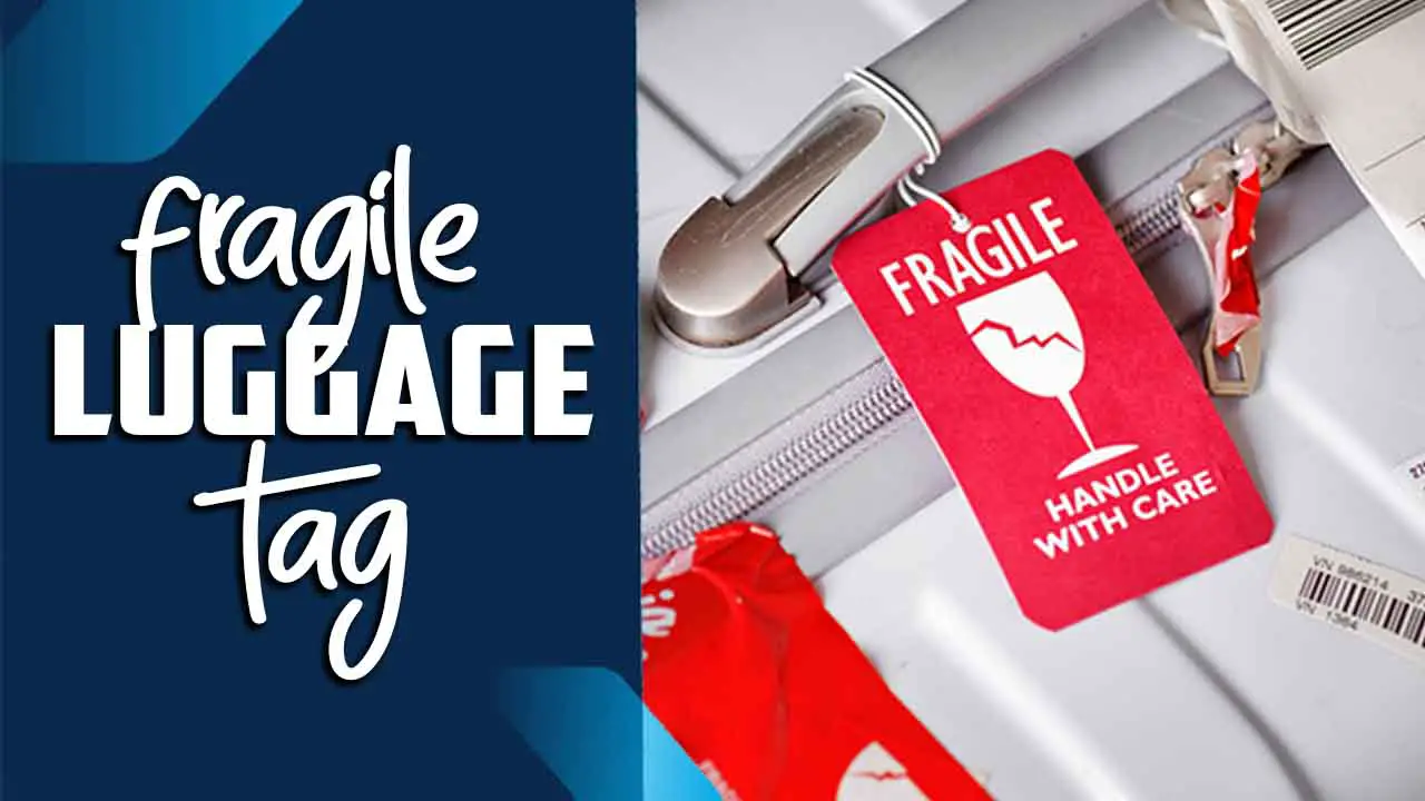 Fragile Luggage Tag