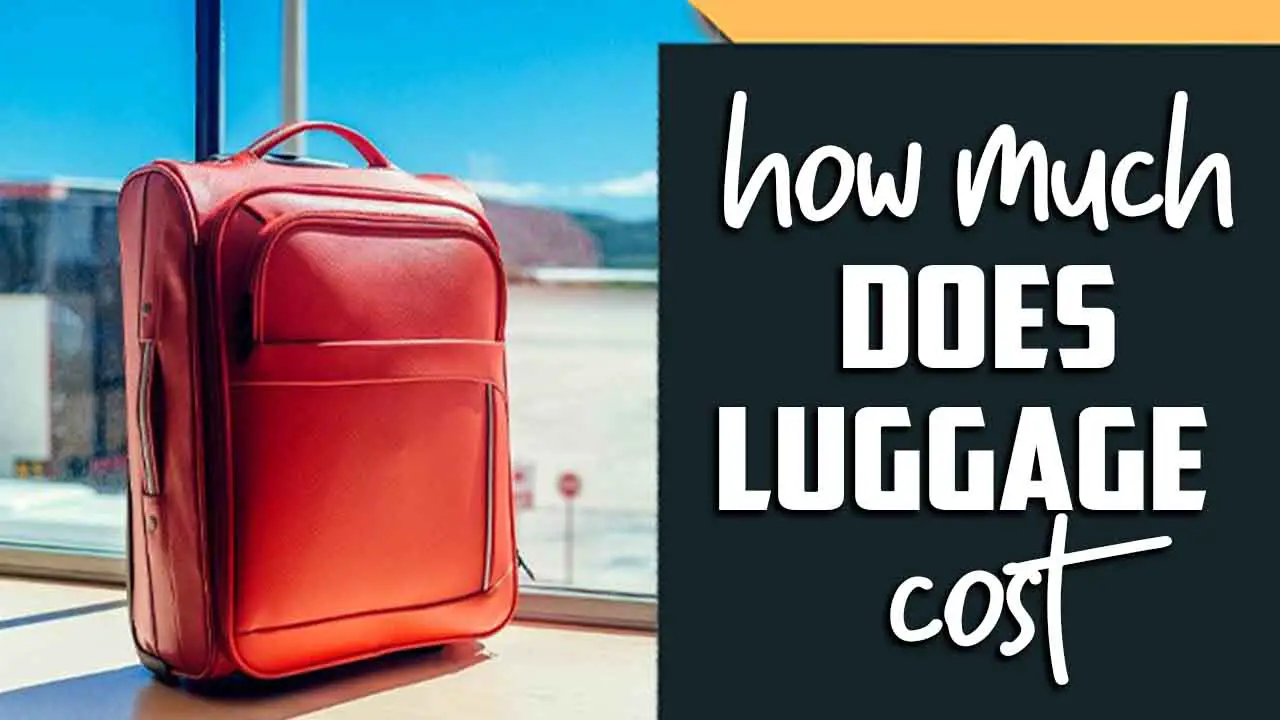 How Much Does Luggage Cost