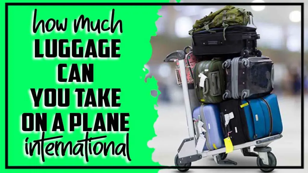 How Much Luggage Can You Take On A Plane International: Explained