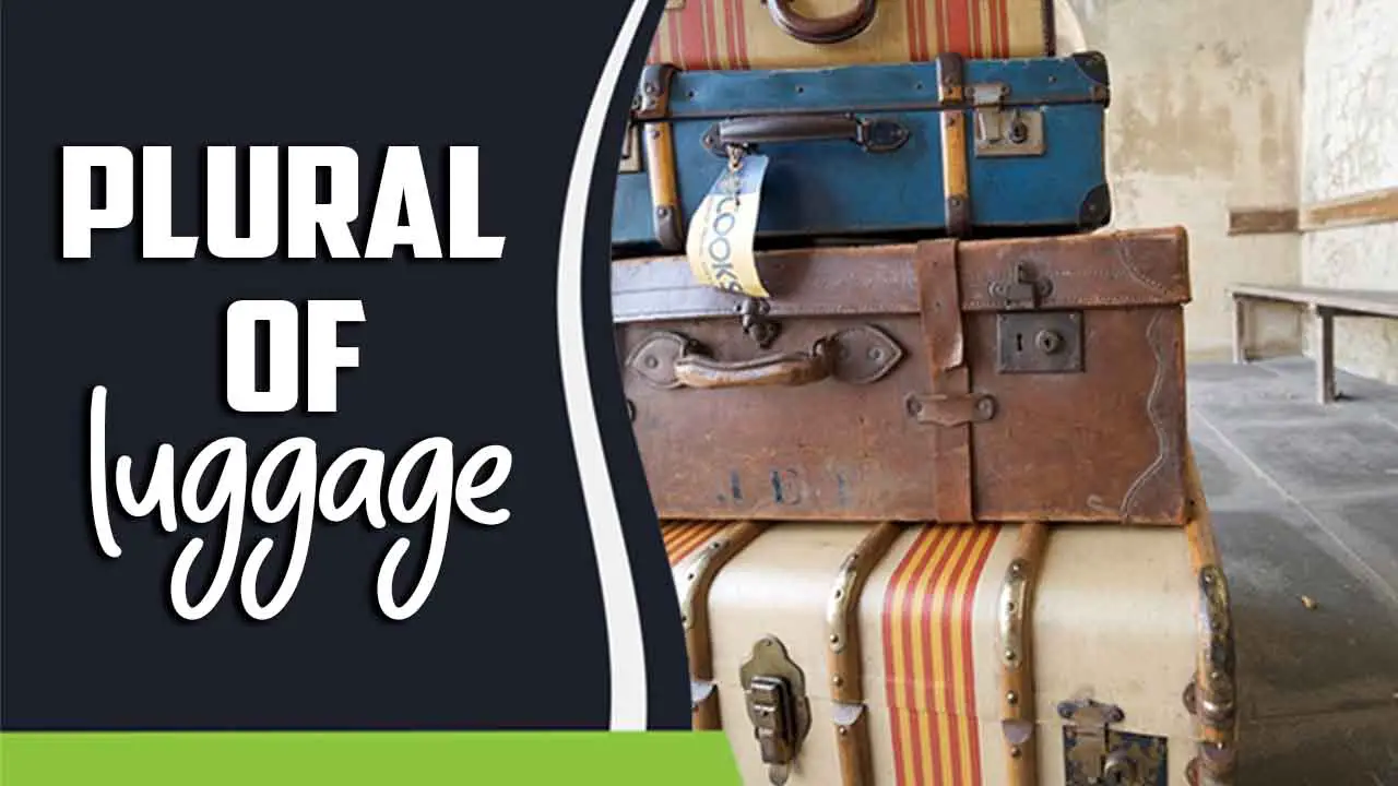 Plural Of Luggage