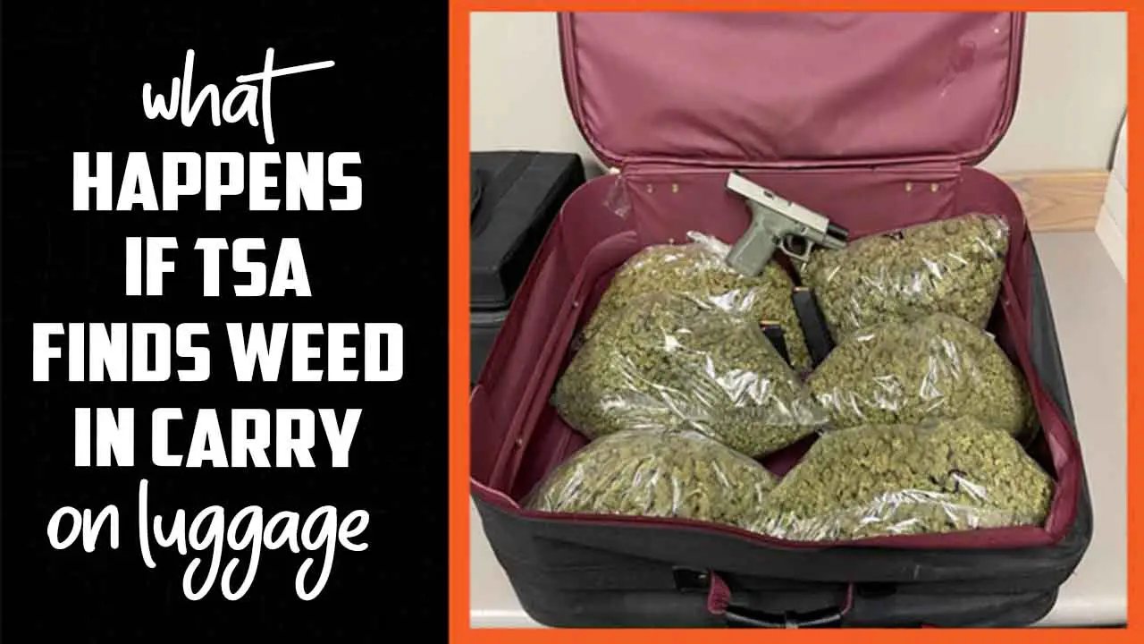 What Happens If Tsa Finds Weed In Carry On Luggage