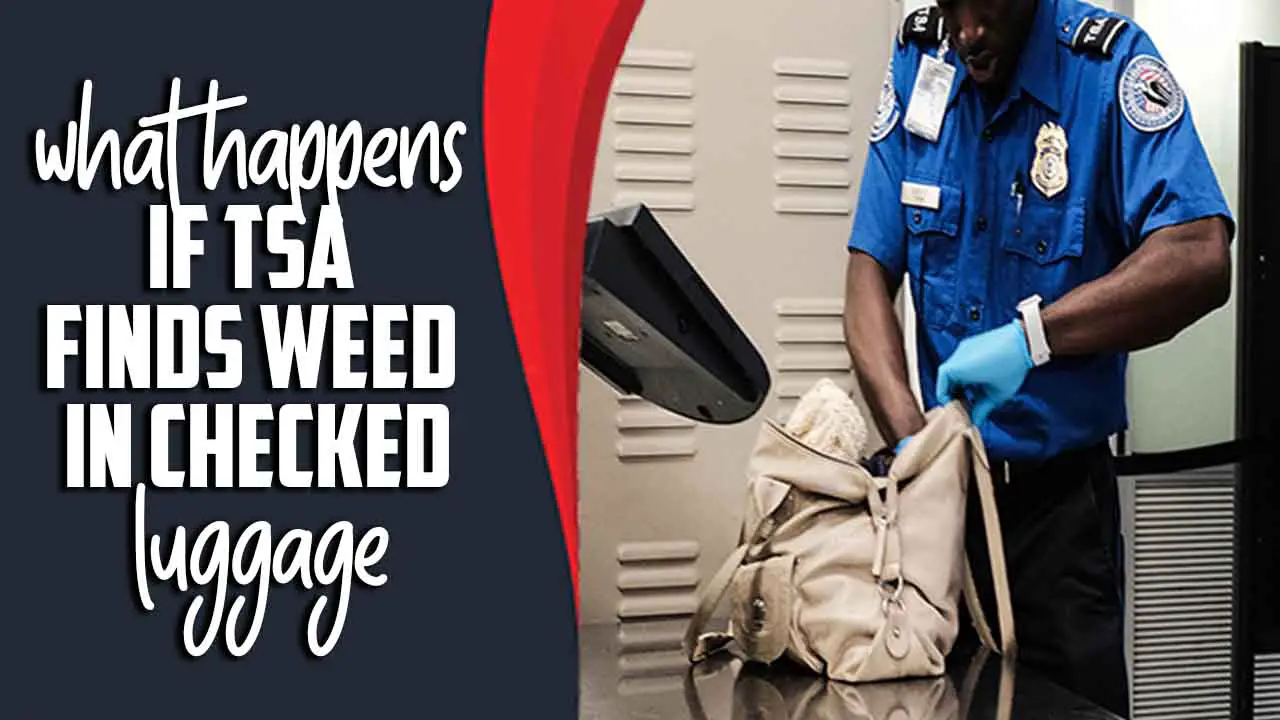 What Happens If Tsa Finds Weed In Checked Luggage