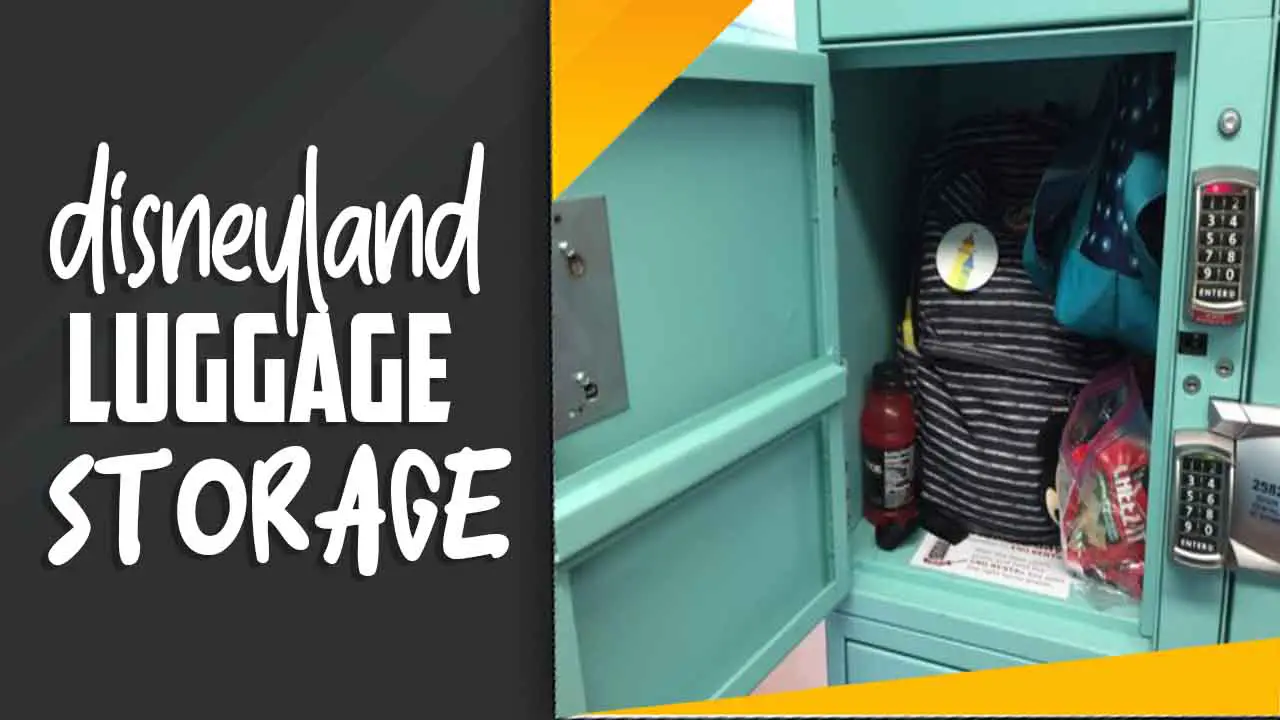 Disneyland Luggage Storage