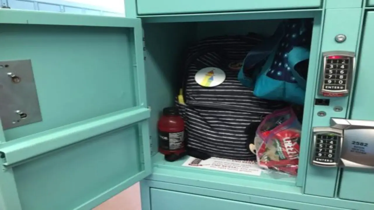 How To Reserve Disneyland Luggage Storage - Simple Ways